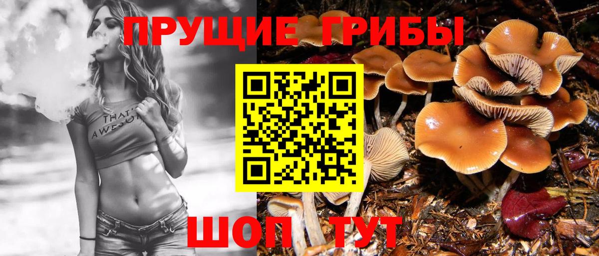 Псилоцибиновые грибы ЛСД Калач-на-Дону
