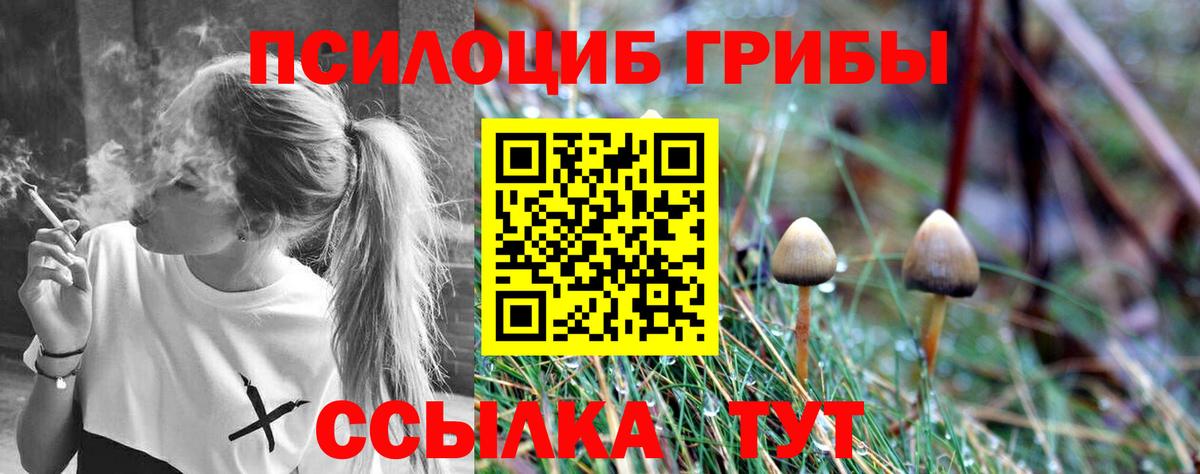 Галлюциногенные грибы Psilocybine cubensis  Галлюциногенные грибы GOLDEN TEACHER  Вход с VPN  Калач-на-Дону 